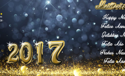 Voeux 2017